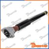 Amortisseur de suspension arrière pour PORSCHE | A-PS-006, 971513035